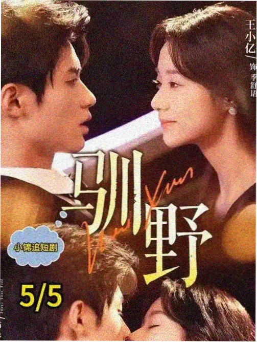拥抱太阳的月亮 韩国电视剧大全免费